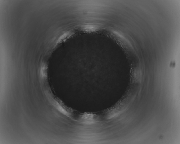 X0000096970227200802151315