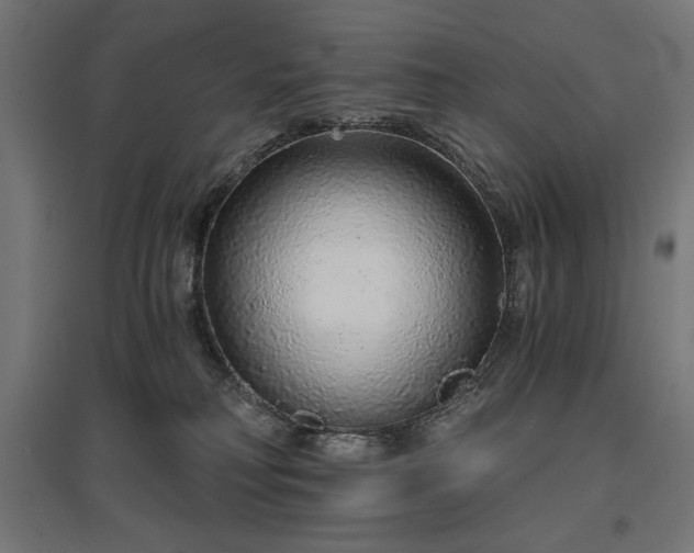 X0000096970230200802151315