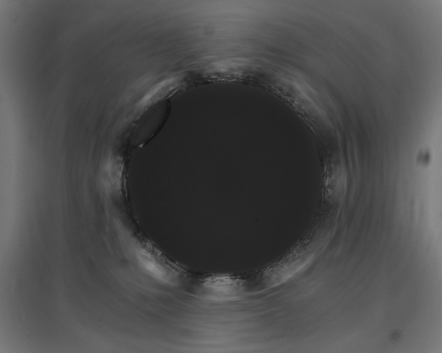 X0000096970231200802151315
