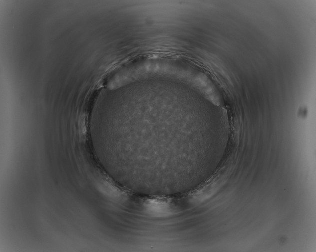X0000096970232200802151315