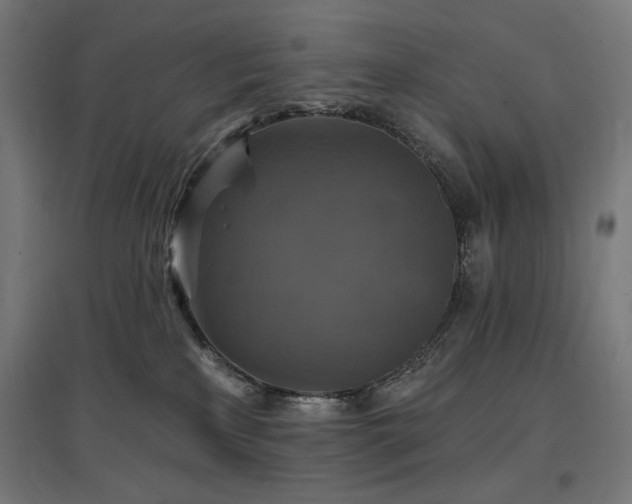 X0000096970233200802151315