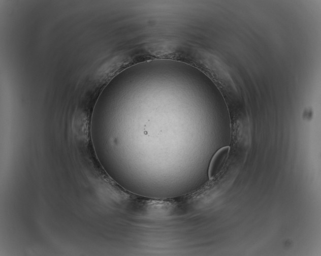 X0000096970234200802151315