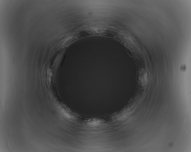 X0000096970235200802151315