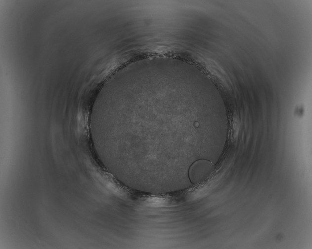 X0000096970236200802151315