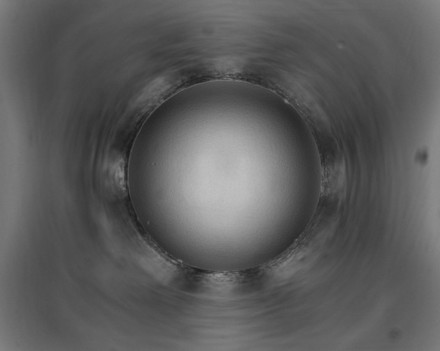 X0000096970238200802151315