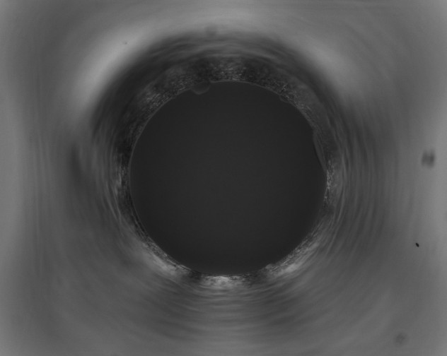 X0000096970239200802151315