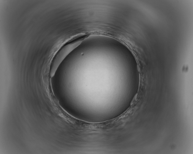 X0000096970241200802151314