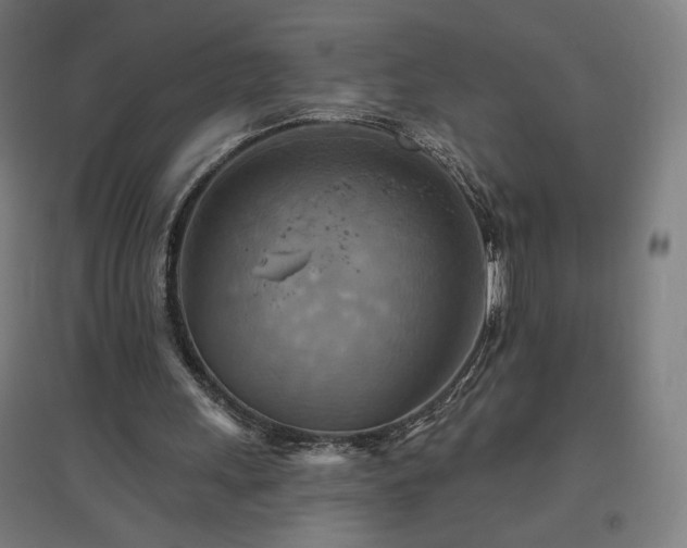 X0000096970243200802151314
