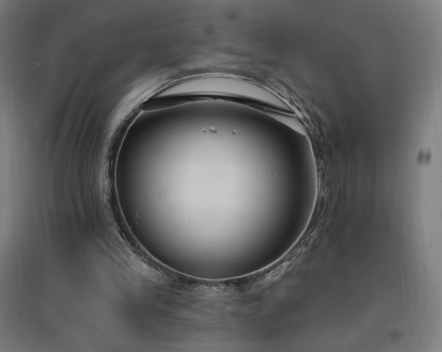 X0000096970245200802151314