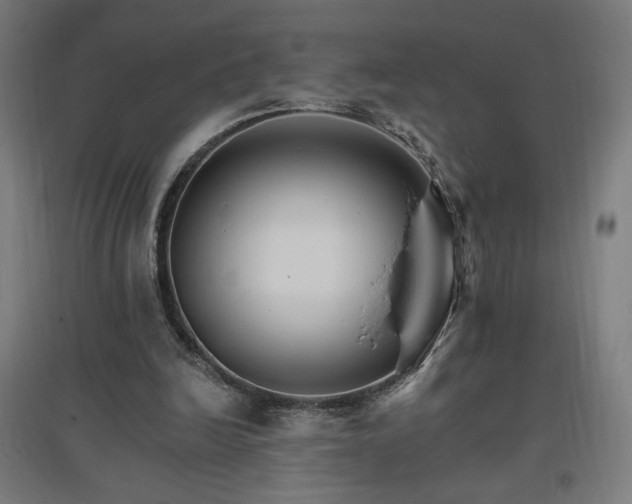 X0000096970246200802151314