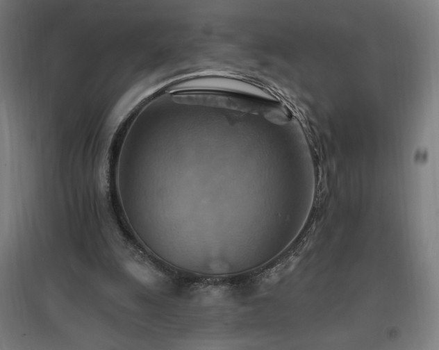 X0000096970247200802151314