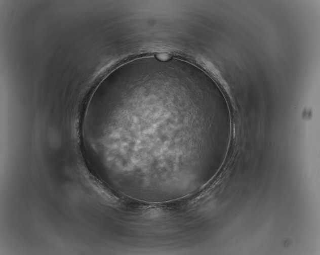 X0000096970249200802151314