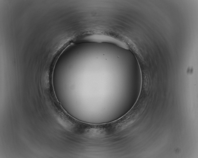 X0000096970251200802151314