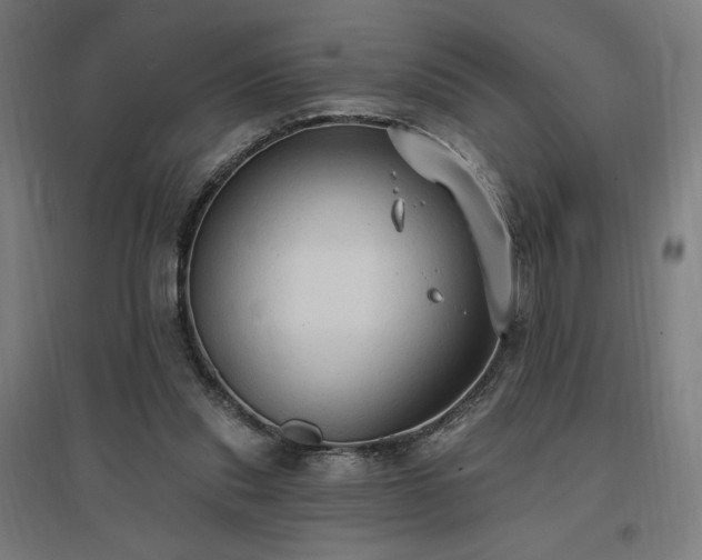 X0000096970253200802151314