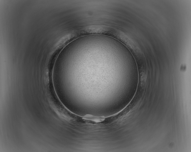 X0000096970254200802151314