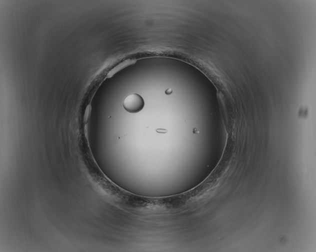 X0000096970256200802151314