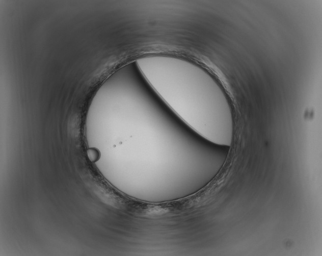 X0000096970257200802151314