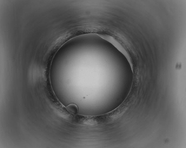 X0000096970258200802151314