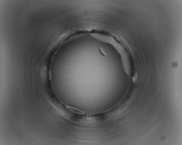 X0000096970260200802151314
