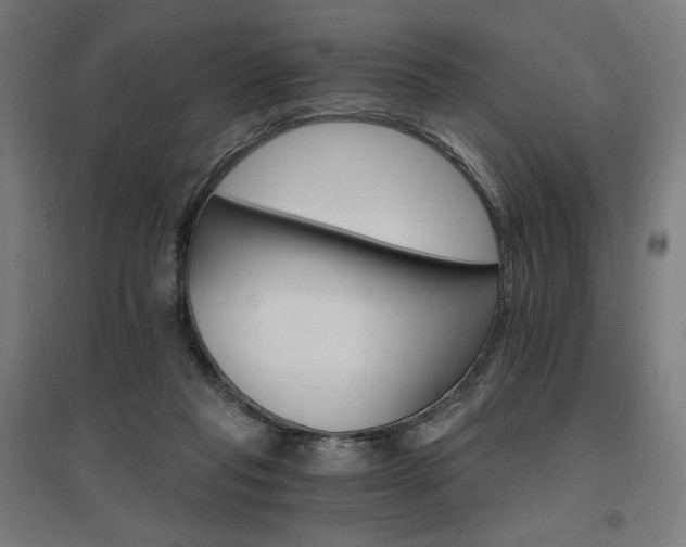 X0000096970261200802151315