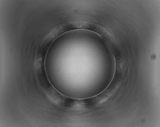 X0000096970263200802151315