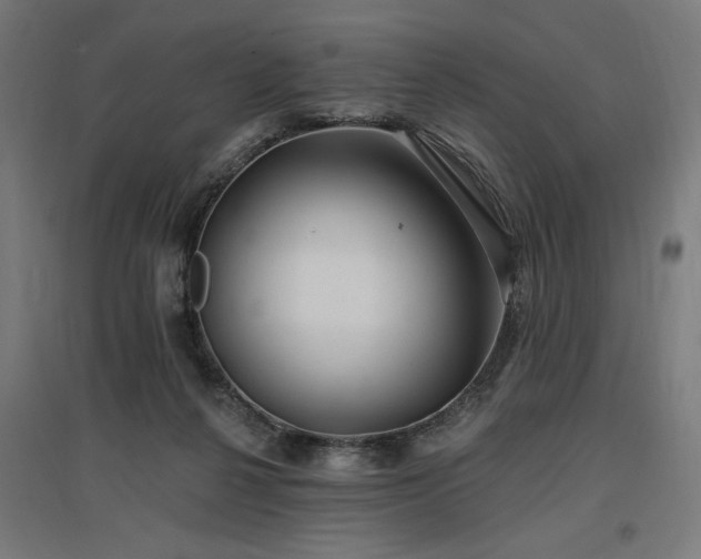 X0000096970264200802151315