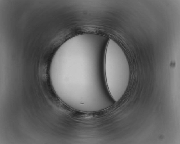 X0000096970267200802151315