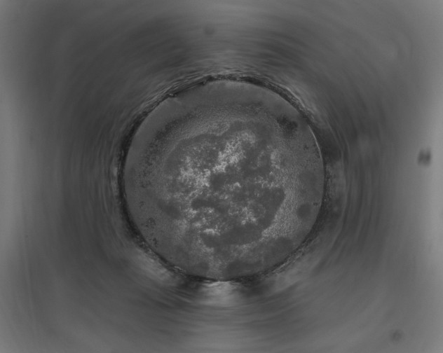 X0000096970269200802151315