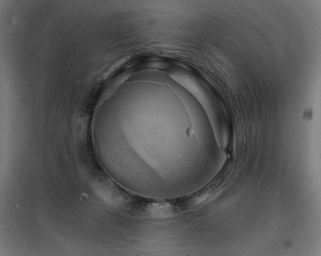 X0000096970271200802151315