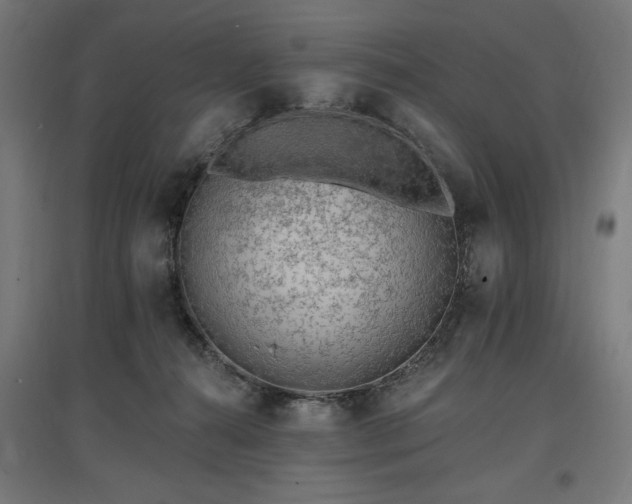 X0000096970272200802151315