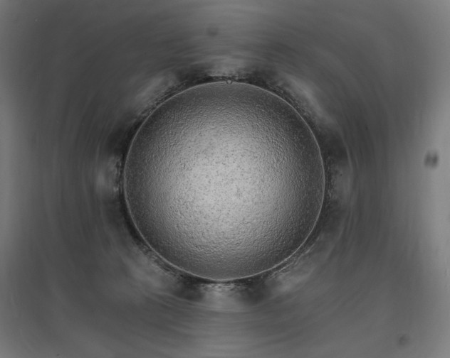 X0000096970273200802151315