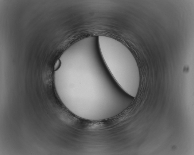 X0000096970274200802151315