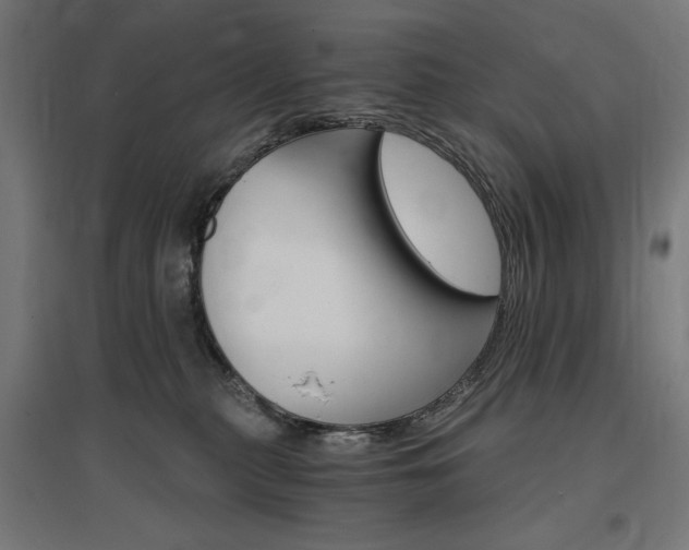 X0000096970279200802151315