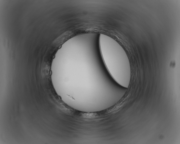 X0000096970281200802151315