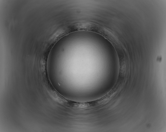 X0000096970282200802151315