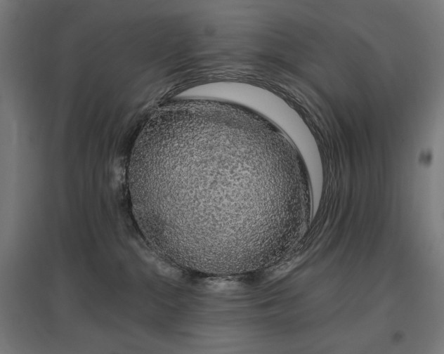 X0000096970284200802151315