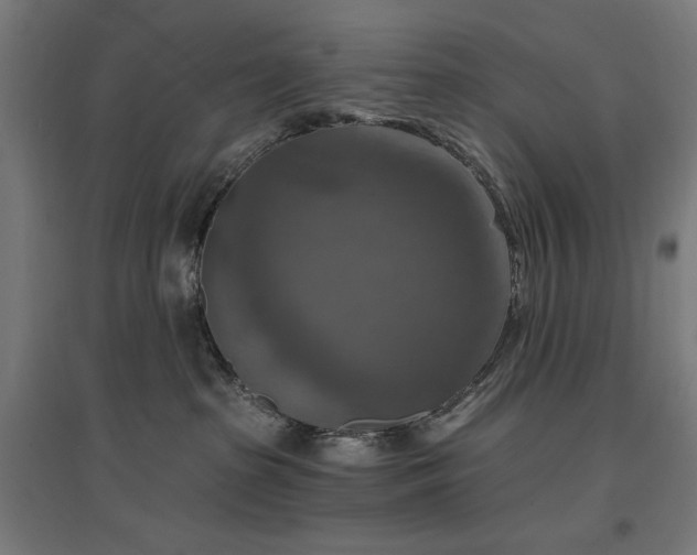 X0000096970285200802151315