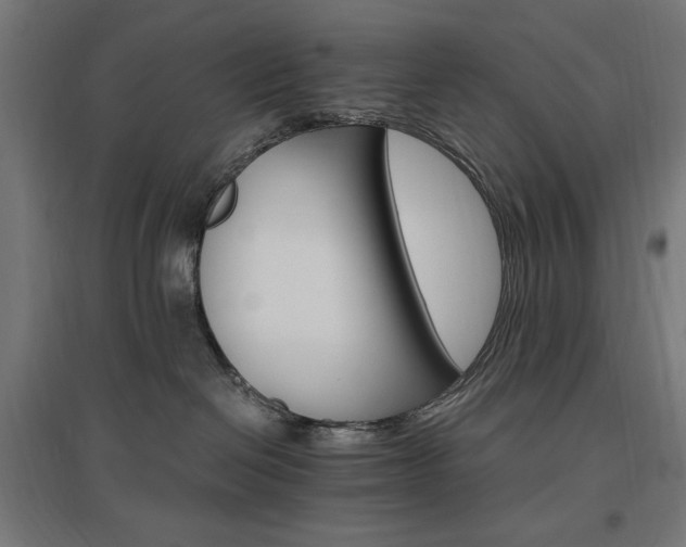 X0000096970286200802151315