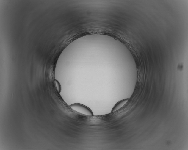 X0000096970287200802151315