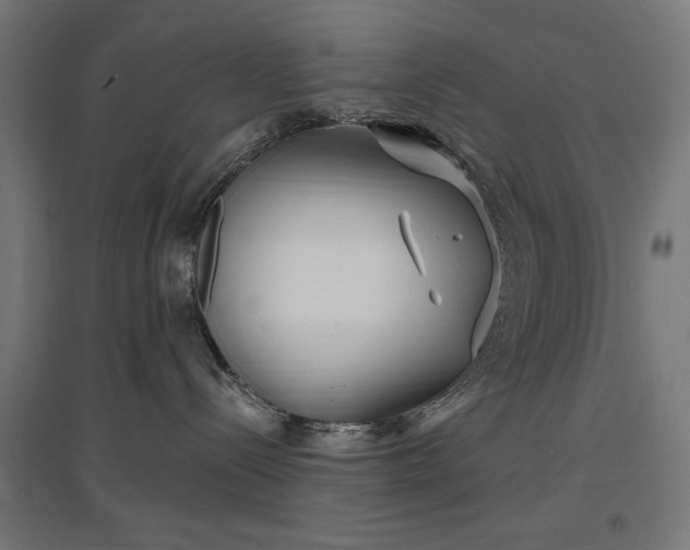 X0000096970288200802151315