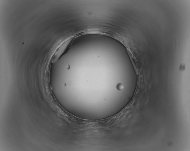 X0000096970289200802151314