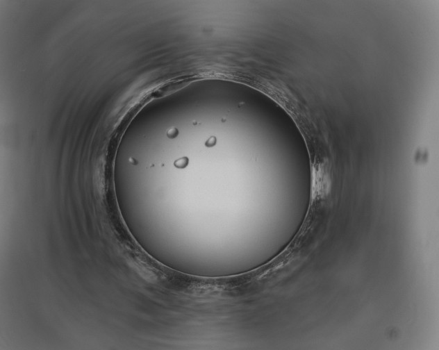X0000096970291200802151314