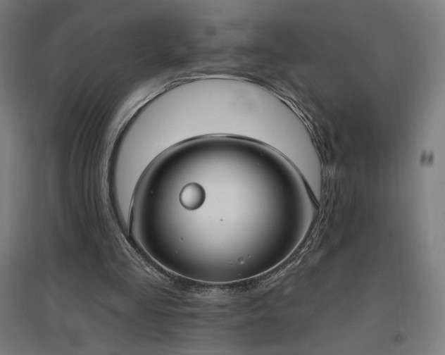 X0000096970293200802151314