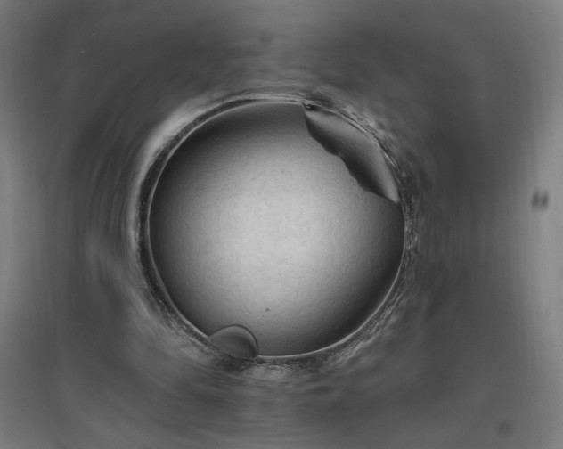 X0000096970294200802151314