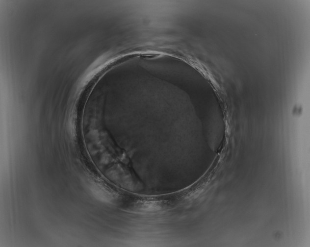 X0000096970295200802151314