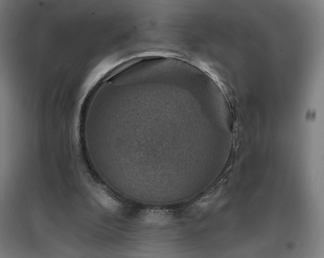 X0000096970296200802151314