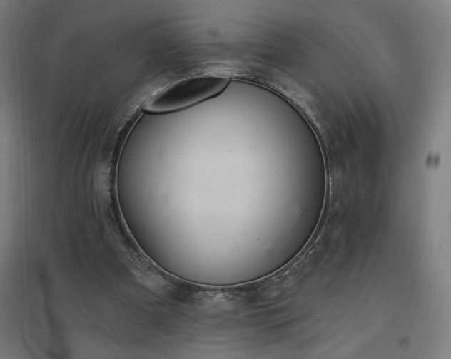 X0000096970297200802151314