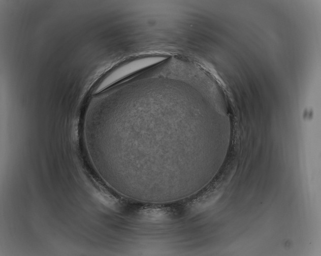X0000096970299200802151314