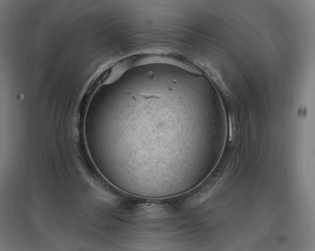 X0000096970300200802151314