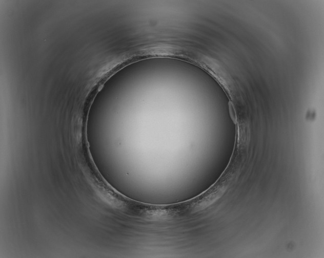 X0000096970301200802151314